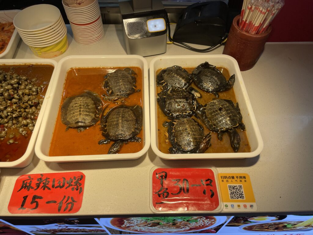 Turtles on display at a street food stall in Wuhan.